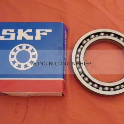 SKF 16018