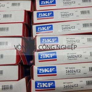 SKF 16024_1