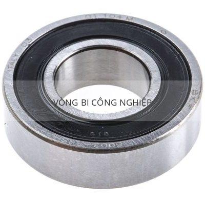 SKF 6002-2RSH/C3