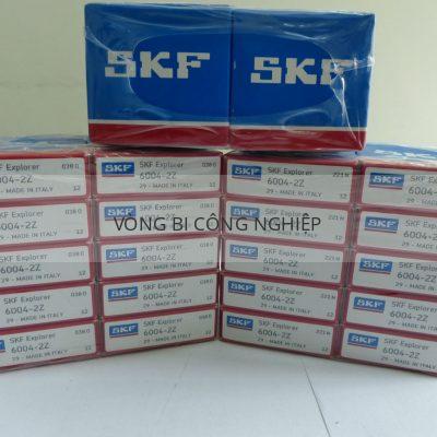 SKF 6004-2Z_4