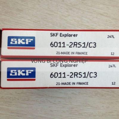 SKF 6011-2RS1C3_2