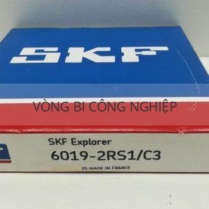 SKF 6019-2RS1