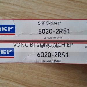 SKF 6020-2RS1