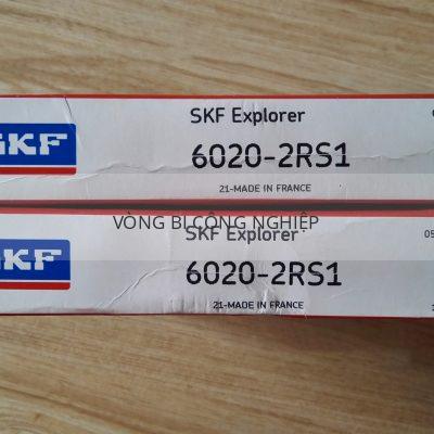 SKF 6020-2RS1