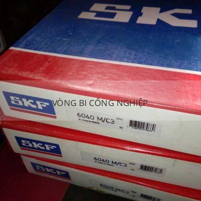 SKF 6040M