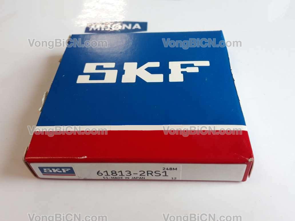 SKF 61813-2RS1