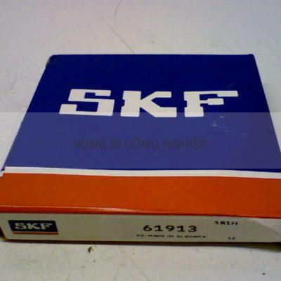 SKF 61913