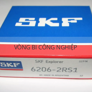 SKF 6206-2RS1