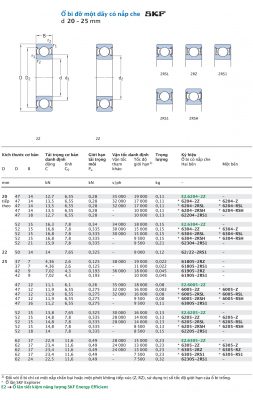 Vòng bi cầu 1 dãy có nắp che SKF d 20 - 25 mm E2.6204 6204 62204 E2.6304 6304 62304 62/22 61805 61905 E2.6005 6005 63005 E2.6205 6205 62205 E2.6305 6305 62305 2Z 2RSL 2RSH Z RSL RSH 2RS1 Catalog