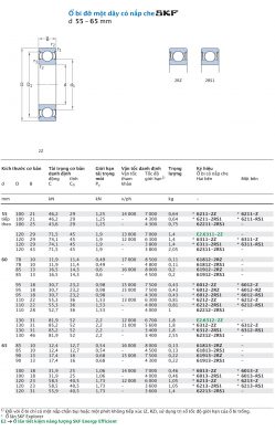Vòng bi cầu 1 dãy có nắp che SKF d 55 - 65 mm 6211 62211 E2.6311 6311 62311 61812 61912 6012 6212 62212 E2.6312 6312 62312 61813 61913 6013 6213 62213 2Z 2RSL 2RSH Z RSL RSH 2RS1 Catalog