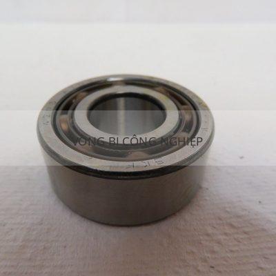 SKF 4203 ATN9 -4