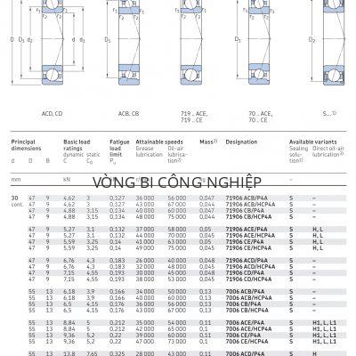 Vòng bi tiếp xúc góc 1 dãy siêu chính xác d 30 mm 71906 7006 7206 Catalog