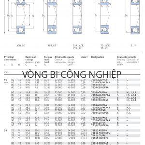 Vòng bi tiếp xúc góc 1 dãy siêu chính xác d 50 - 55 mm 7010 7210 71811 71911 Catalog