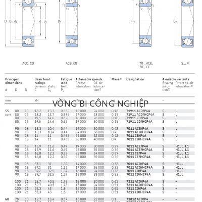 Vòng bi tiếp xúc góc 1 dãy siêu chính xác d 55 – 60 mm 71911 7011 7211 71812 71912 Catalog