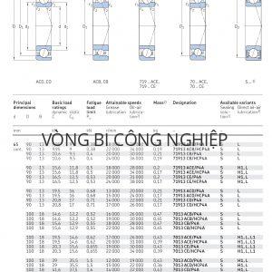 Vòng bi tiếp xúc góc 1 dãy siêu chính xác d 65 mm 71913 7013 7213 Catalog