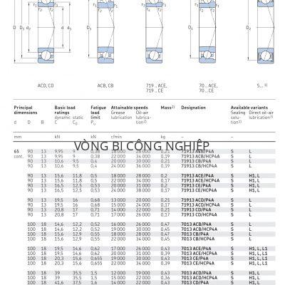 Vòng bi tiếp xúc góc 1 dãy siêu chính xác d 65 mm 71913 7013 7213 Catalog