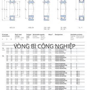 Vòng bi tiếp xúc góc 1 dãy siêu chính xác d 70 - 75 mm 7214 71815 71915 7015 Catalog