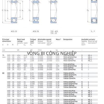 Vòng bi tiếp xúc góc 1 dãy siêu chính xác d 75 – 80 mm 7015 7215 71816 71916 7016 Catalog