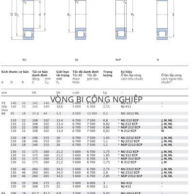 Ổ đũa một dãy SKF d 55 – 65 mm NU NJ NUP N 411 1012 212 2212 312 2312 412 1013 213 2213 ECP M ML PH J Catalog