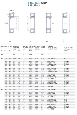 Ổ đũa một dãy SKF d 90 – 95 mm NU NJ NUP N 1018 218 2218 318 2318 418 1019 219 2219 319 ECP M ML PH J Catalog