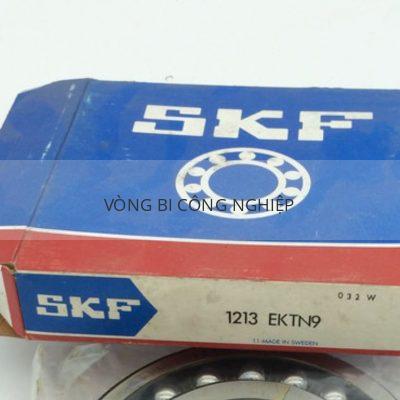 SKF 1213EKTN9_2