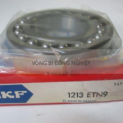 SKF 1213ETN9