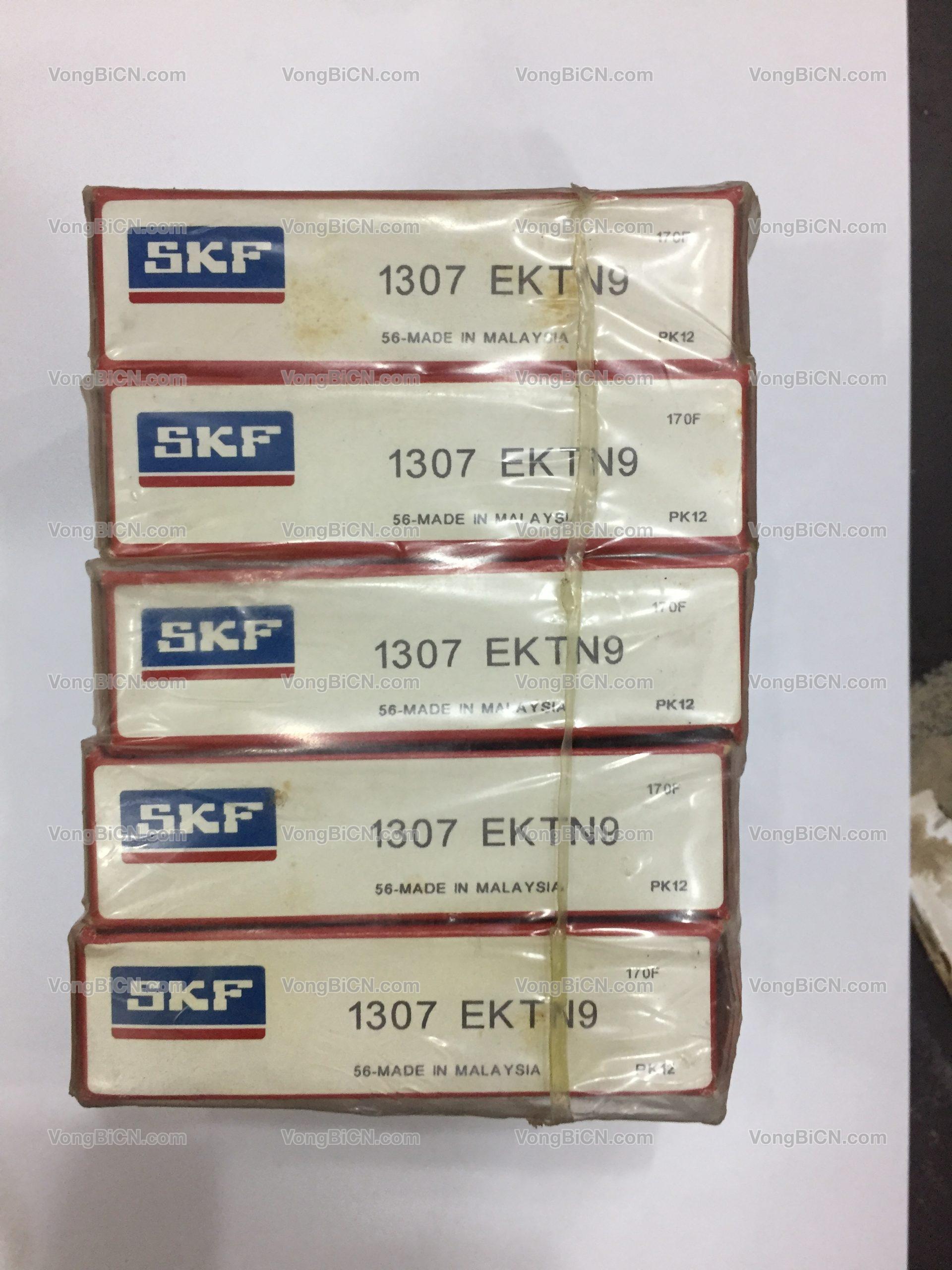 SKF 1307 EKTN9