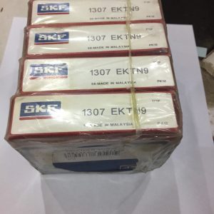 SKF 1307 EKTN9