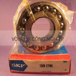 SKF 1308ETN9