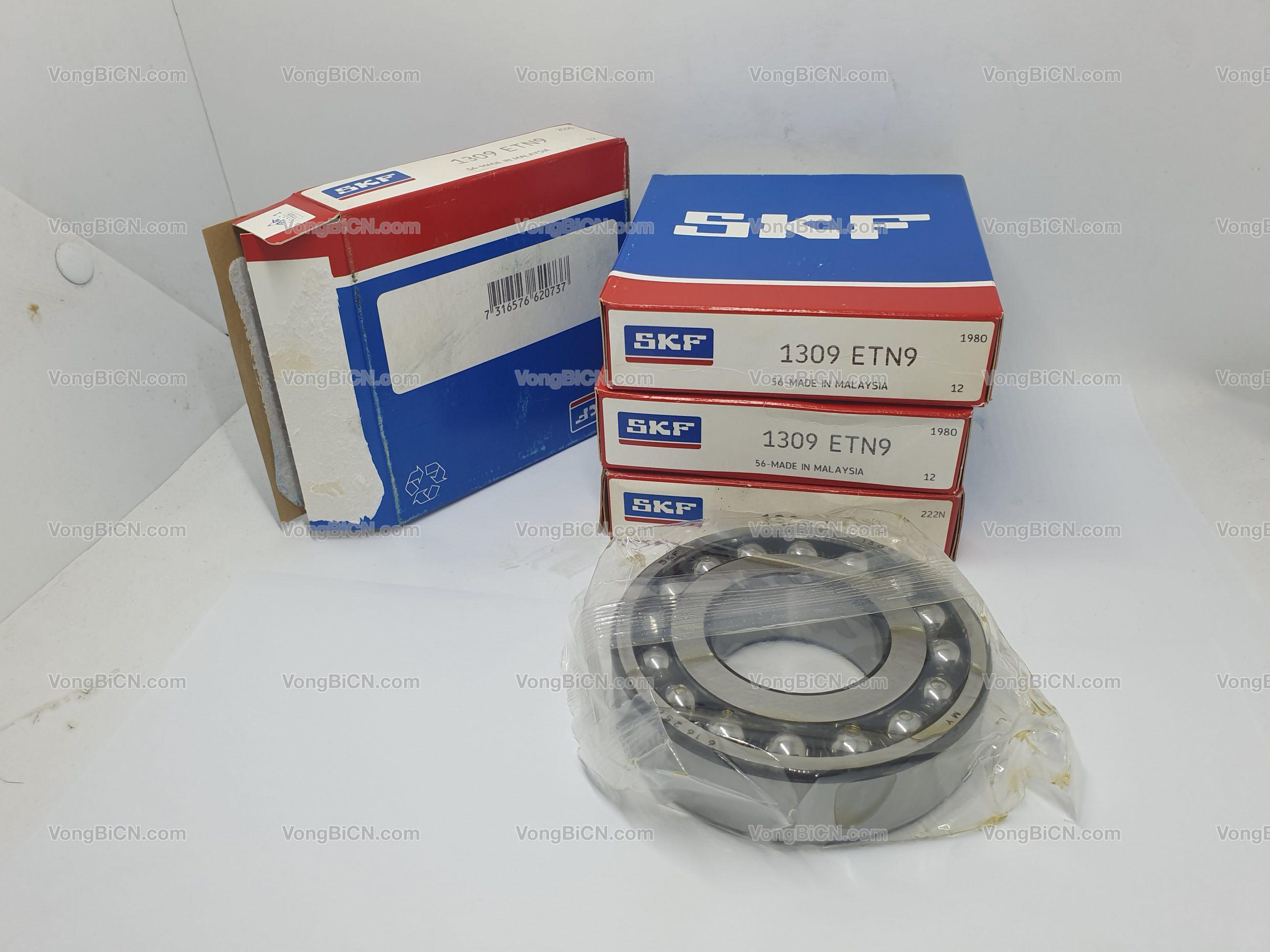 SKF 1309 ETN9