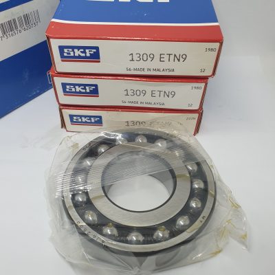 SKF 1309 ETN9