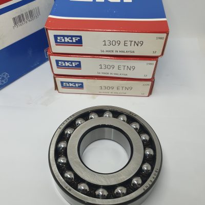 SKF 1309 ETN9