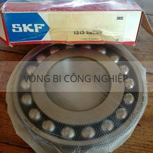 SKF 1313EKTN9