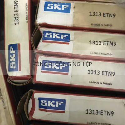 SKF 1313ETN9_3