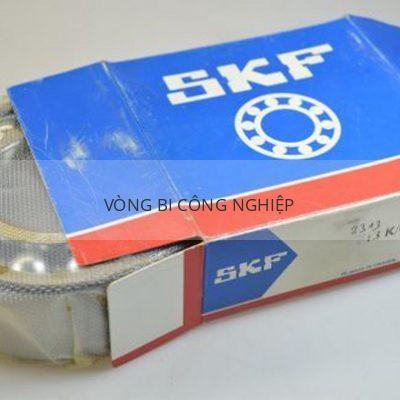 SKF 2313K-C3