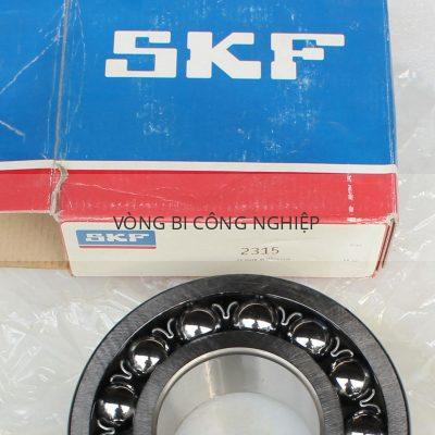 SKF 2315_1