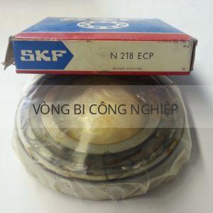 SKF N218ECP