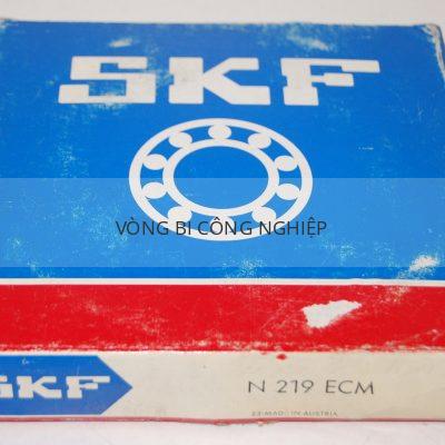 SKF N219ECM