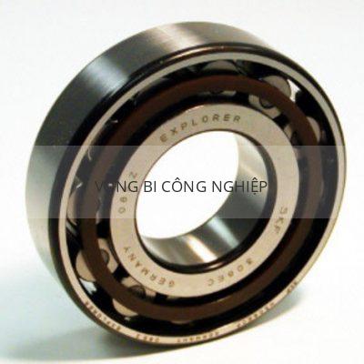 SKF N308ECP