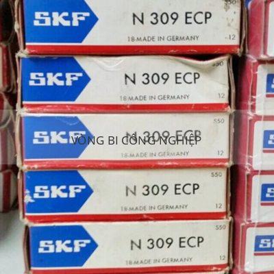 SKF N309ECP