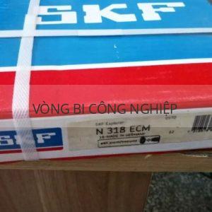 SKF N318ECM_2