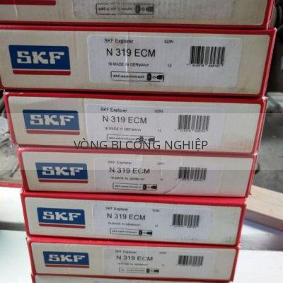 SKF N319ECM