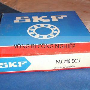 SKF NJ218ECJ