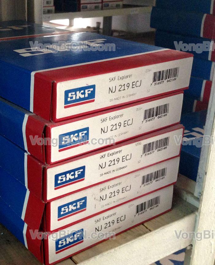 SKF NJ219ECJ