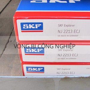 SKF NJ2213ECJ