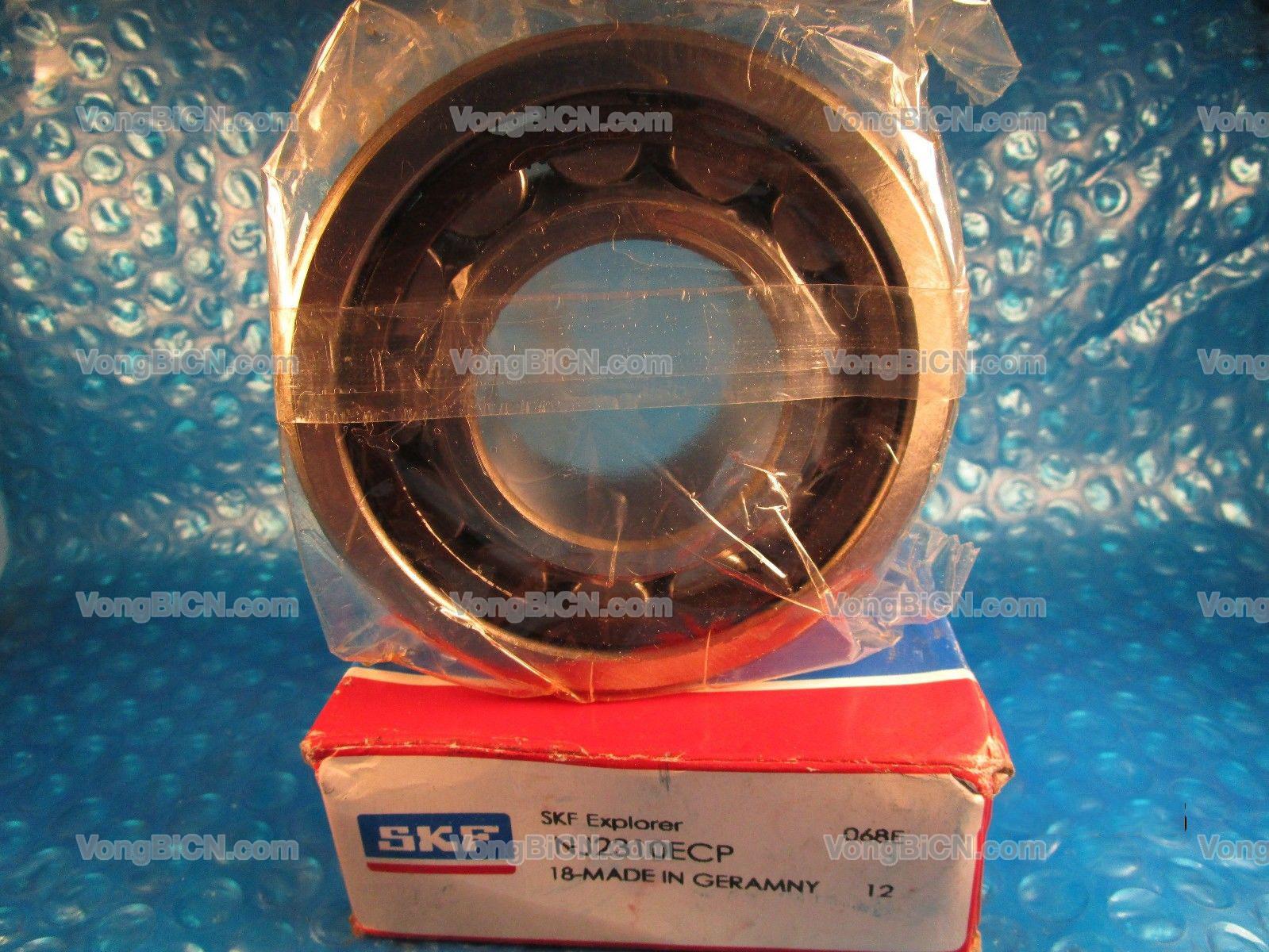 SKF NJ2310ECP