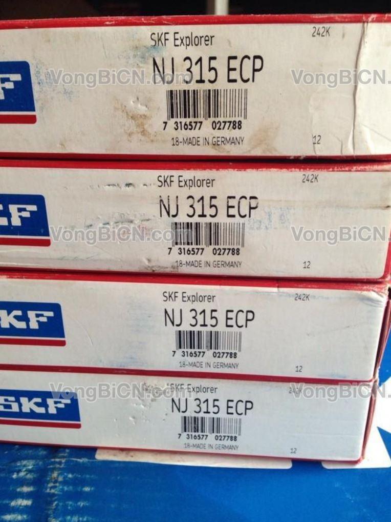 SKF NJ315ECP