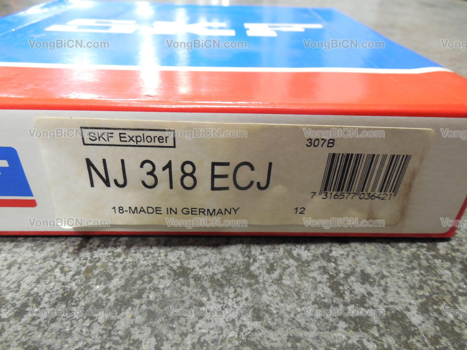 SKF NJ318ECJ