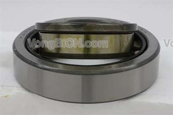 SKF NJ415_2