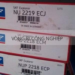 SKF NUP2218ECP